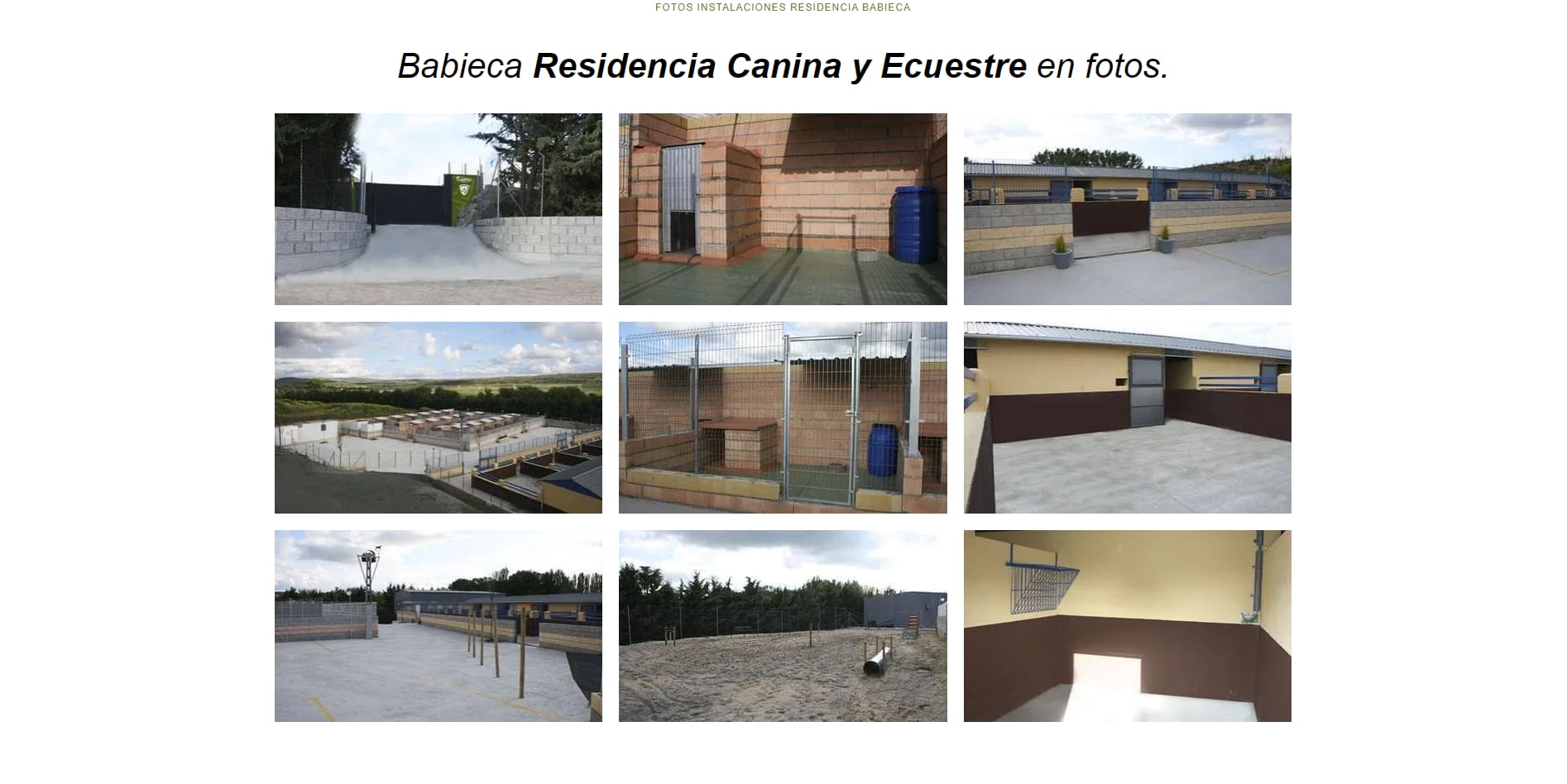 residencia canina y ecuestre galeria