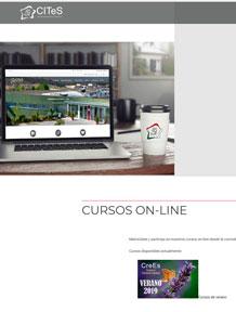 Diseño web cites